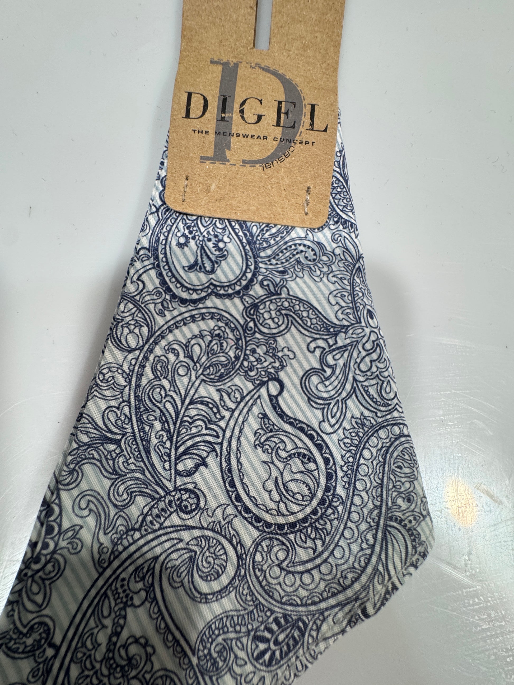 Batista Diegel de costum